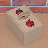 Box mit 2 roten Bio-Äpfeln / APPLE PRESENT BOX / Äpfel mit 2 Logomotiven