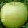 6 grüne Logo-Äpfel Laser in 6er Apple Present Box verpackt