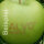6 grüne Logo-Äpfel Laser in 6er Apple Present Box verpackt