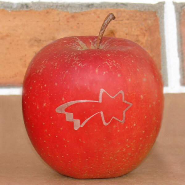 Bio-Apfel mit Sternschnuppen-Laserbranding