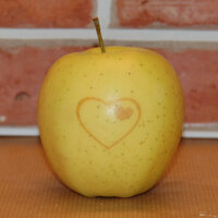 Gelber Apfel mit Herz-Kontur