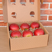 6 rote Logo-Äpfel Laser in 6er Apple Present Box verpackt