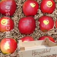 12 Äpfel mit Wunschmotiv in Obststeige|truncate:60