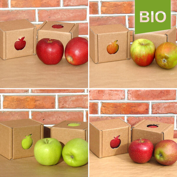 Bio-Apfel Einzelbox