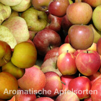 Apfel-Probierpaket - Aromatische Apfelsorten 5kg|truncate:60