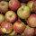 Apfel-Probierpaket - Aromatische Apfelsorten 5kg