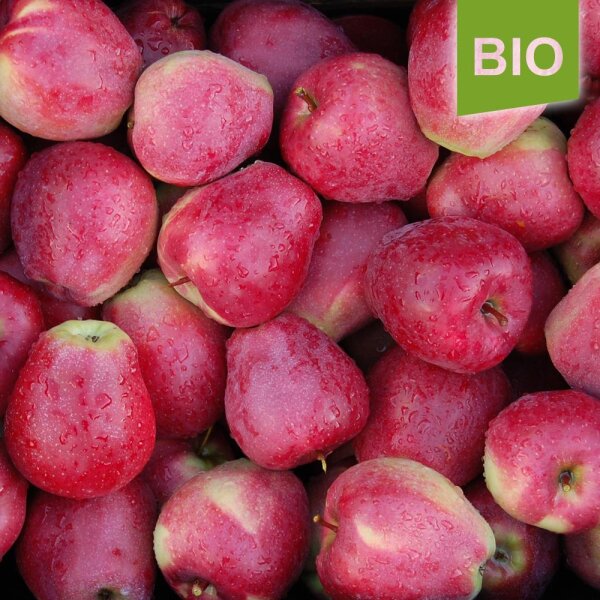 Bio-Äpfel Gloster 5kg