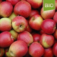 Bio-Äpfel der Sorte Wellant 6kg