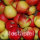 Mostäpfel, 13kg Nicoter-Saftäpfel