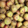 Mostäpfel 13kg Bio-Coulons Renette-Saftäpfel