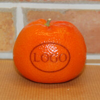 LOGO-Clementine
