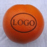 LOGO-Orange klein