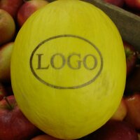 LOGO-Honigmelone