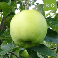 Bio-Nicogreen Äpfel 6kg