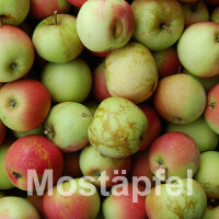 Mostäpfel, 13kg Bio-James Grieve-Äpfel-Saftäpfel|truncate:60