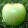 grüner Logo-Apfel Laser in 1erAPB im Geschenkkarton verpackt