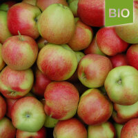 Bio-Santana-Äpfel 5kg - der Allergiker-Apfel|truncate:60