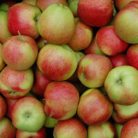Bio-Santana-Äpfel 5kg - der Allergiker-Apfel