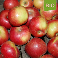 Idared Bio-Äpfel 5kg|truncate:60