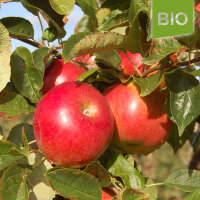 Idared Bio-Äpfel 5kg