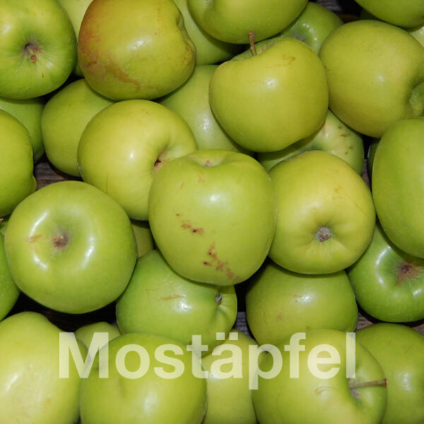 Mostäpfel, 13kg Bio-Nicogreen-Saftäpfel