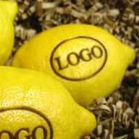 LOGO-Zitrone klein|truncate:60