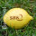 LOGO-Zitrone klein
