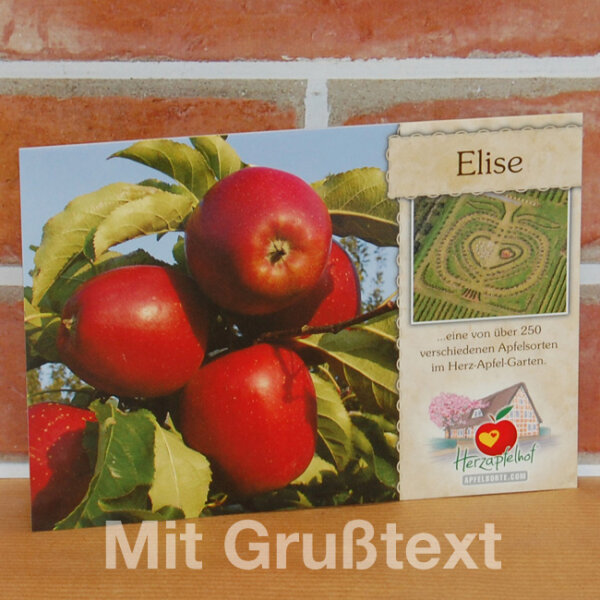 Grußkarte Elise Apfel