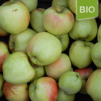 Großherzog Friedrich von Baden Bio-Äpfel 6kg|truncate:60