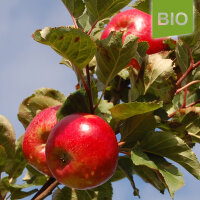 Peter Martens Bio-Äpfel 5kg|truncate:60