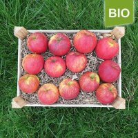 Alles Gute Kiste rote Bio-Äpfel mit Apfelchips