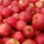 Red Jonaprince Bio-Äpfel 3kg-Kiste