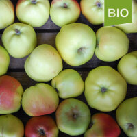 Riesenboiken Bio-Äpfel 6kg
