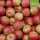 Bio-Äpfel 5kg-Steige / Probierpaket mit 2 Sorten
