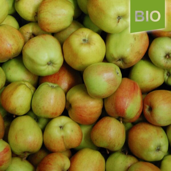 Bio-Herbstprinz-Äpfel 6kg