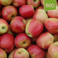 Bio-Herbstprinz-Äpfel 5kg