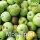 Mostäpfel, 13kg Bio-Seestermüher Zitronenapfel-Saftäpfel