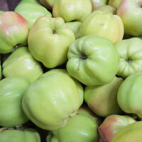 Uelzener Kalvill Bio-Äpfel 5kg