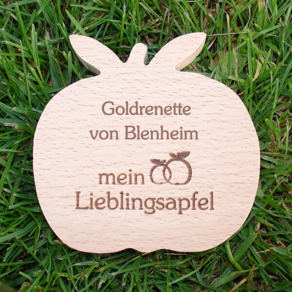 Goldrenette von Blenheim, dekorativer Holzapfel