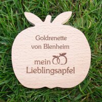 Goldrenette von Blenheim, dekorativer Holzapfel|truncate:60