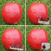 Roter Apfel mit Namen|truncate:60