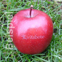 1 grüner und 1 roter Logo-Äpfel Laser in 2er APB