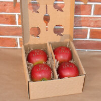 4 rote Logo-Äpfel Laser in 4er Apple Present Box verpackt