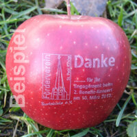 4 rote Logo-Äpfel Laser in 4er Apple Present Box verpackt