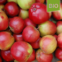 Roter Winterkalvill Bio-Äpfel 5kg|truncate:60