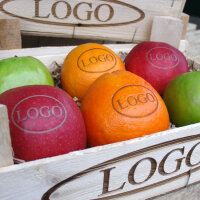 LOGO-Früchtemix in rustikaler Holzkiste