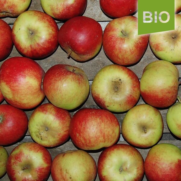 Uelzener Rambour Bio-Äpfel 5kg