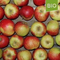 Uelzener Rambour Bio-Äpfel 5kg|truncate:60