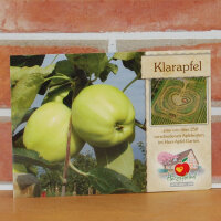 Ansichtskarte Klarapfel