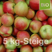 Santana Apfel / Bio-Äpfel / 5kg-Steige